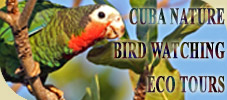Cuba Nature & Bird Watching Tours with Authentic Cuba Travel®.