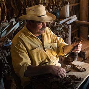 Cigar Roller in Havana, Cuba Cigar Tours & Travel