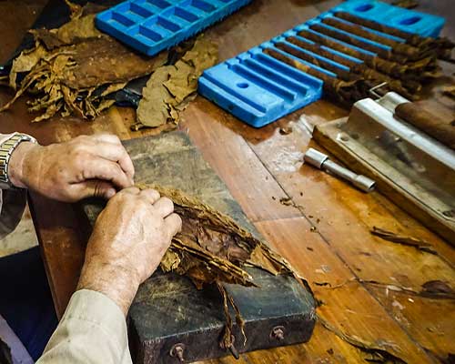 Cigar Roller at Partagas Cigar Factory in Havana