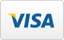 VISA Credit Card Logo